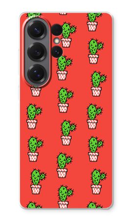 Mini cactus