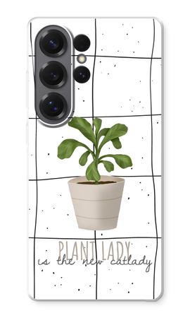 Houseplant on windowpane