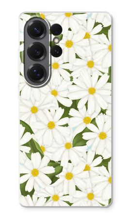 Summer Daisies