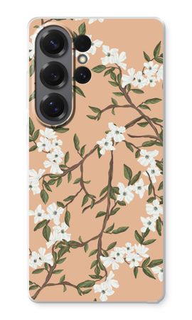 Blossoming spring