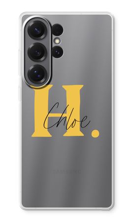 Amber Script