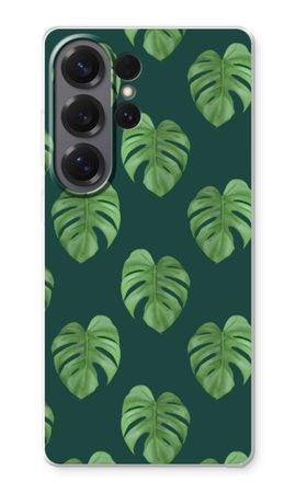 Monstera leaves