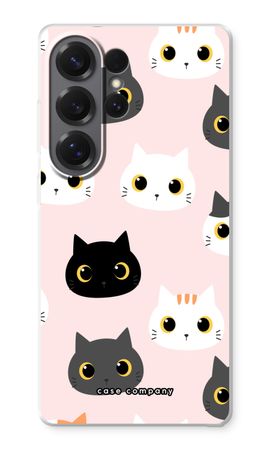 Cats