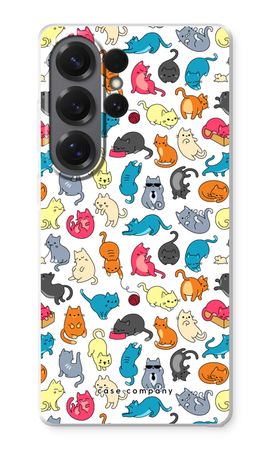Colourful cats