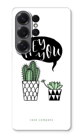 Hey you cactus
