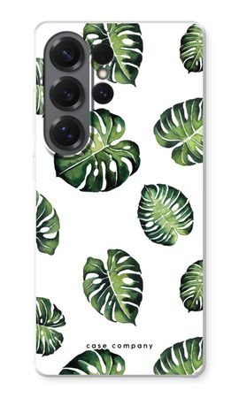 Tropical leaves