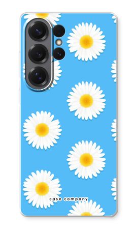 Gänseblümchen