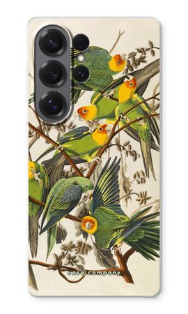 Carolina Parrot
