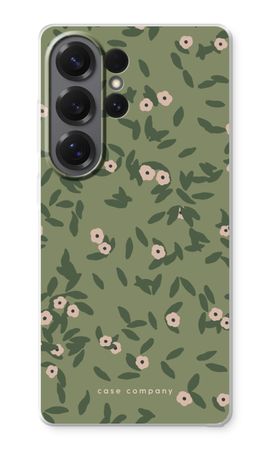 Olive Bloom