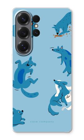 Playful Dogs