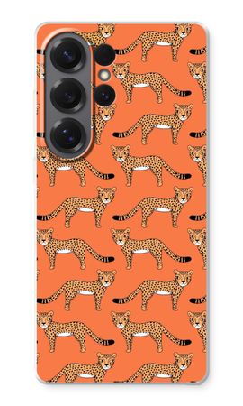 Cheetah