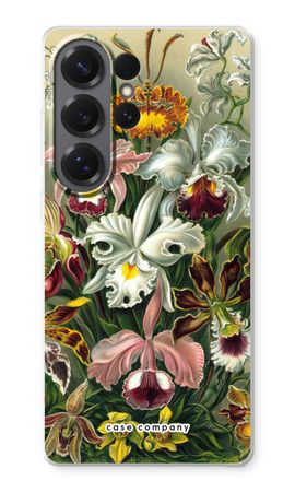 Haeckel Orchidae