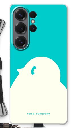 BIG Robin 2