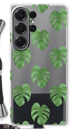 Monstera leaves