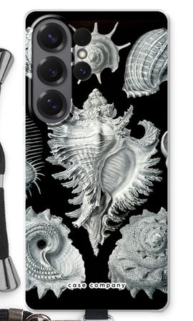 Haeckel Prosobranchia