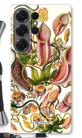 Haeckel Nepenthaceae