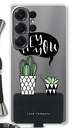 Hey you cactus