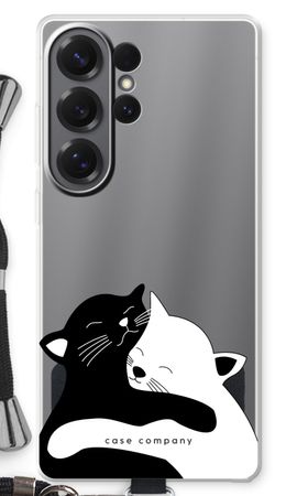 Kuschelige Katzen