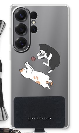 Spielende Katzen