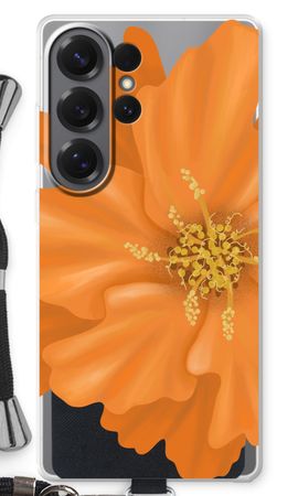 Orange Ellila flower
