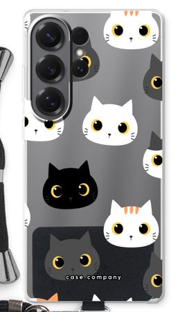 Katzen
