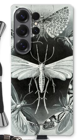 Haeckel Tineida
