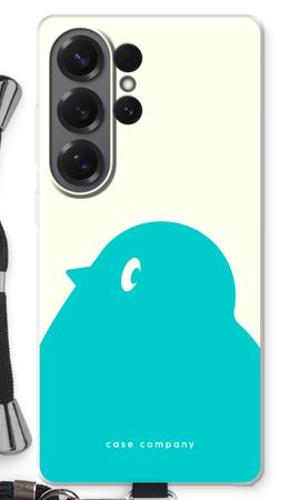 BIG Robin 1