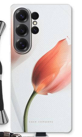 Tulip