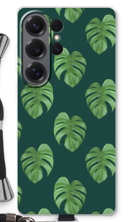 Monstera leaves