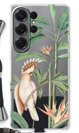 Perroquet tropical