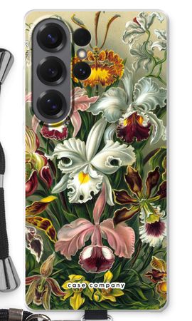Haeckel Orchidae