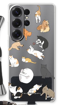Katzen