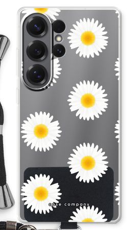 Daisies