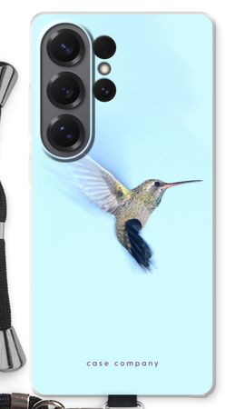Hummingbird