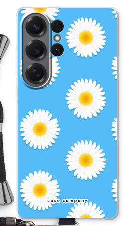 Daisies