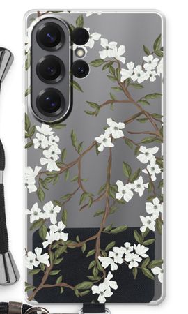Blossoming spring
