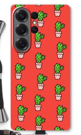 Mini cactus