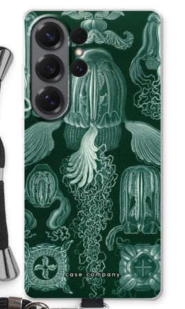 Haeckel Cubomedusae