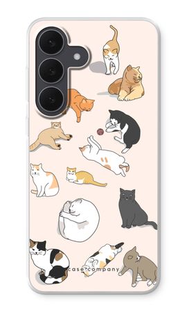 Cats