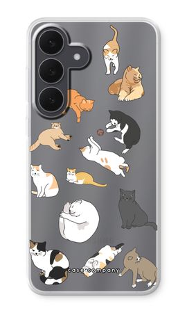 Cats