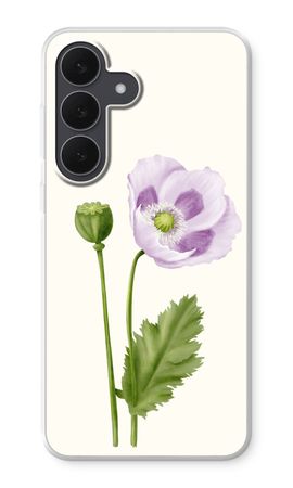 Purple poppy
