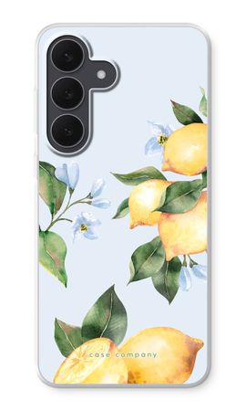 Orchard Sun