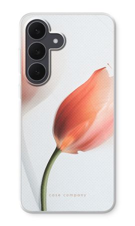 Tulip