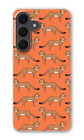 Cheetah