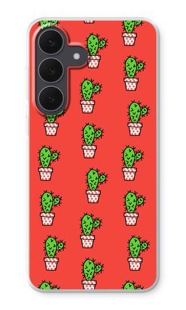 Mini cactus