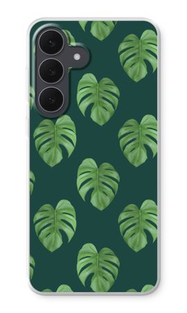 Monstera leaves