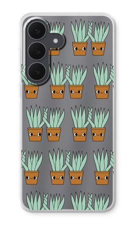 Sansevieria