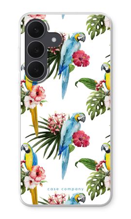 Colourful parrots