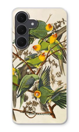 Carolina Parrot