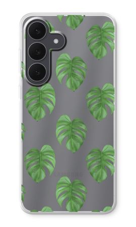 Monstera leaves